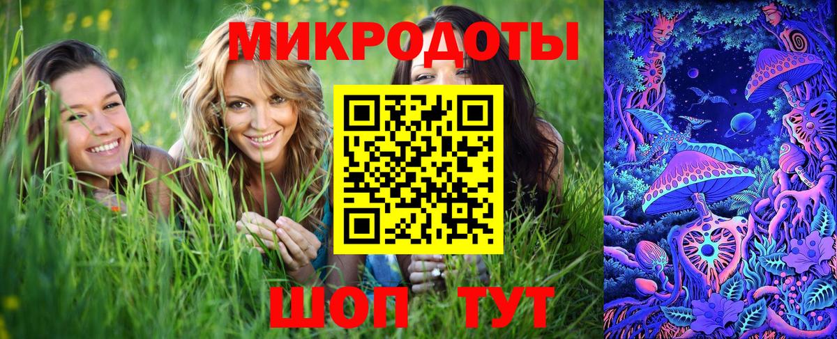Кинель  Псилоцибиновые грибы мухоморы  Галлюциногенные грибы мухоморы  Вход с VPN 
