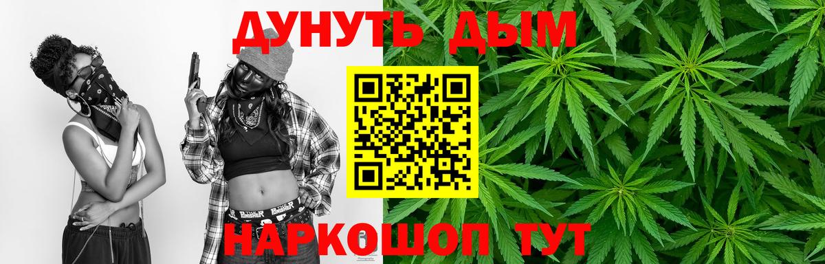 Канабис OG Kush  Каннабис план  Кинель  Вход с VPN  Шишки марихуана конопля 